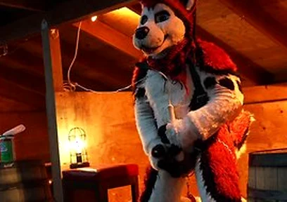 Husky Fursuiter Suspension Jerkoff