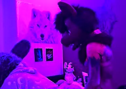 This Submissive Furry Bunny Slut Is Getting Pegged By A Furry Wolf So He Knows His Place