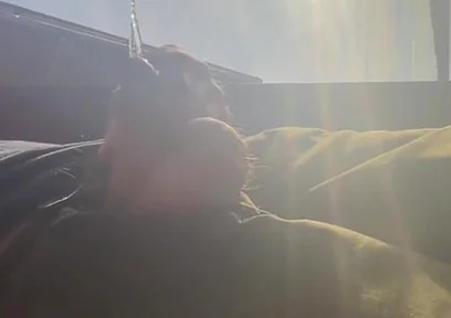 Pissing in Sunset