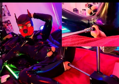 Doggy Rubber Show