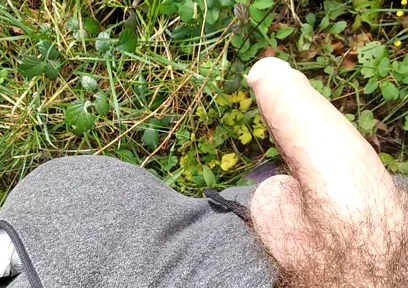 The Horny Stepfather Went on a Hike, When He Took Out His Bonita Cock a Tick Fell on His Cock