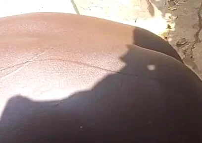 Sneaked; to Shower in My Neighbor's Outdoor Bathroom While I Become Horny