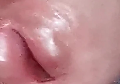 The Dick Growls at Its Owner