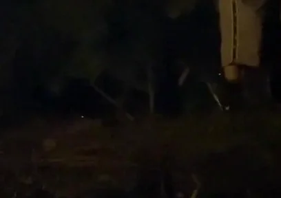 Amateur Straight Boy Caught Pissing in a Park, at Night