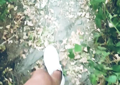 POV Naked Walk in the Woods
