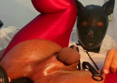 Please Insert a Very Thick Dick with a Leash Into My Ass and Whip Me a Lot While I Hold This Position.