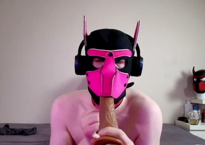 This Could Be Your Cock in Hound's Mouth