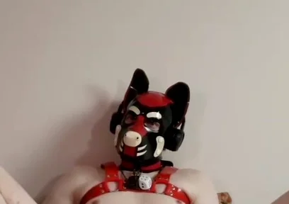 Spread Pet Paws and Plug Tease