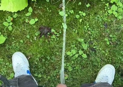 Golden Stream: Peeing in Paradise