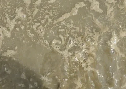 Barefoot in the September North Sea in Wangerland