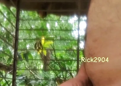 Playing with My Dick