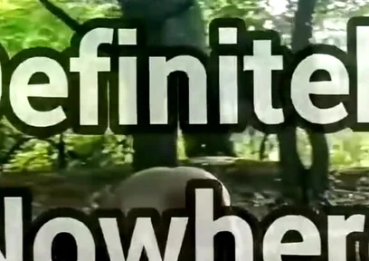Ass on Full View in a Forest