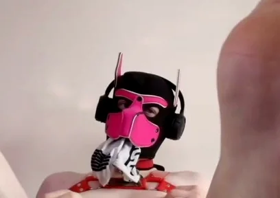 Puppy Paws Right in Your Face. Get the Full on My Fancentro