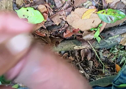 Home Video Porn Video