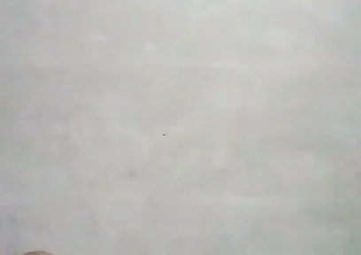 Slamming My Penis Until I'm Squirting Milk