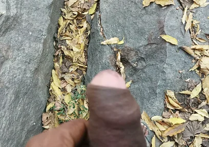 Tamil Boy Masturbating in the Forest