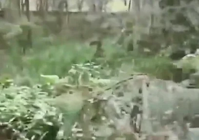 A Worker Passed Through the Park and Received a Blowjob.