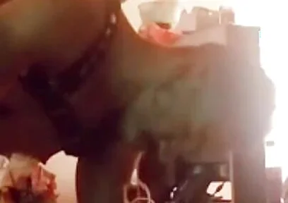 The Frequent Toy of Khratos