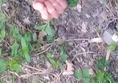 Cock Exposed Through the Pants Fly This Cute Gay Boy Humping Precuming Cumming Cleaning Sperm on His Dick Outdoors Is Jon Arteen