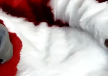Jerking off and Showing Footpaws in Full-body Fursuit