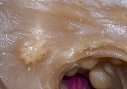 Camera Inside Deep Pussy Captures Cumshot