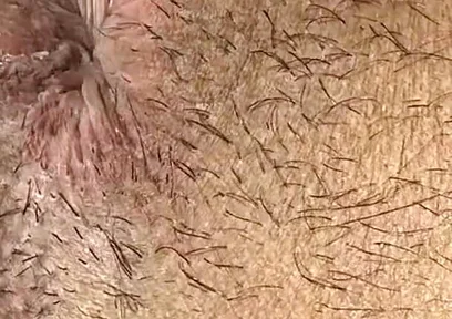 Do You Like My Ass?