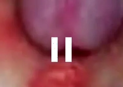 Best Compilation Crempie Pussy - Camera Inside 4K
