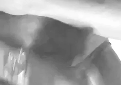 Black & White Black Muscle Daddy Edging and Cum