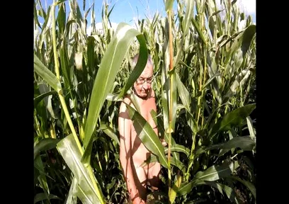 Maize Walk
