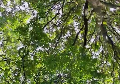 Slutboyben Cam4 Sexy Cruising Chick Iii Live Outdoor Exposure