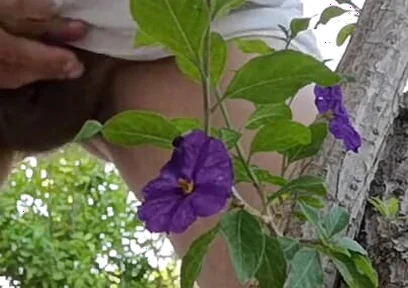 Watch Me Jerking off Outdoors While Hiding Behind a Tree