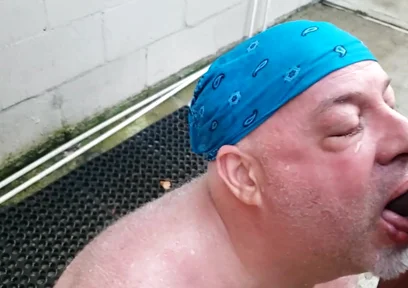 Bear Gets Pissed on by BBC