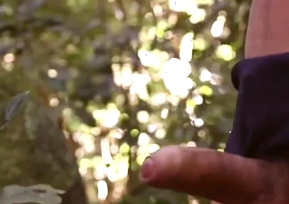 Fuck Amazon Jungle Breeding Bi Sexual Cumshot