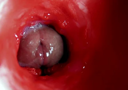 A Big Beautiful Cock Flows Abundantly Inside a Wet Slippery Hole and Smacks!