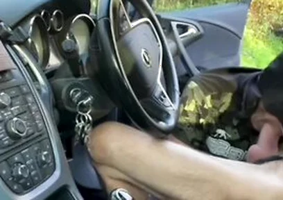 Rest Area Hookup Horny Guy In Batman Mask Sucks My Big Cock In The Car