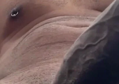 Cock Lovers. POV