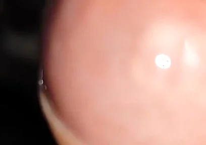 Waking up Excited and with My Cock Soaked in Precum.