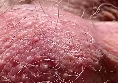 Checking That Everything Is in Order at the Construction Site.