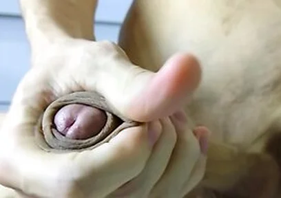 Hot Veiny Guy Slowly Strokes His Huge Beautiful Cock On Your Face