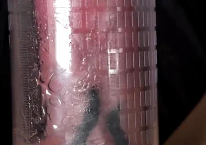 For a Perverse Video of Mine, I Get a Threesome with a Lesbian and My Stepsister.