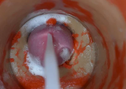 Insemination - Internal Camera Captures Deep Male Ejaculation