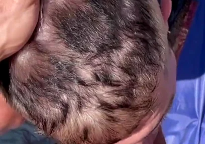 A Couple of Hot Guys Have Wild Sex on a Beach, Causing Vacationers to React Aggressively to Them