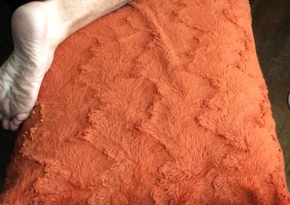 Ohtrevor Hot Hairy Stepdad Wakes up to Bolero