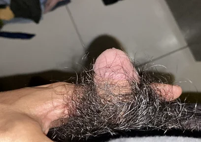 I Masturbate in the Afternoon