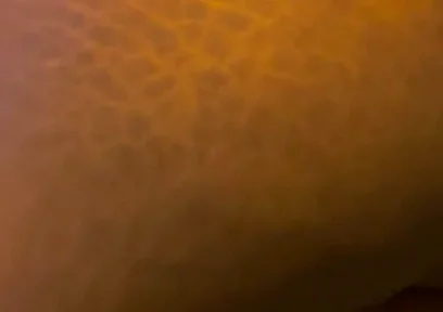 Big Black Ass