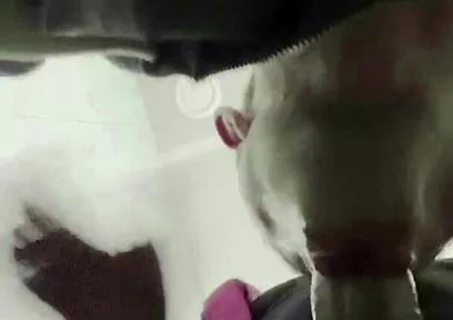 The Teacher's Thick Sucks in a Public Toilet. Slaps for a Student