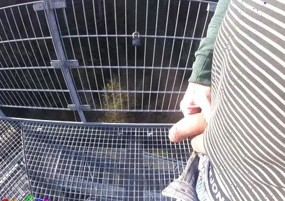 I'm Edit on My Foreskin Cock Outside on a Very Public Observation Tower by a River.