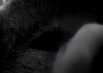 Hump Masturbation Black and White with the First Real Webcam in 1996