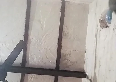 Big Indian Cock