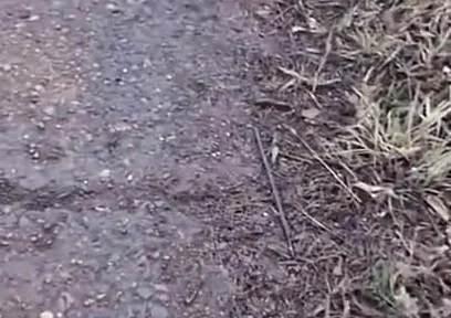 Fuck a Taxi Driver for a Free Ride, Big Cocks, Public Sex, and Lots of Cum!